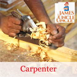 Carpenter Mr. Dipankar Sarkar in Bara Haldibari